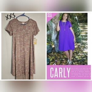 NWT Lularoe Simply Comfortable Floral Carly Dress Size XXS